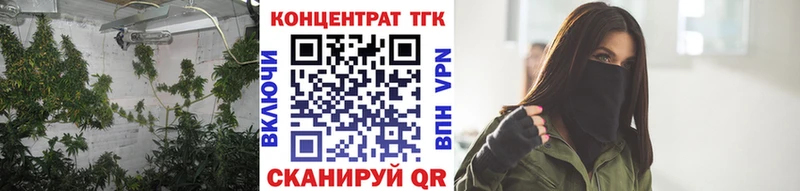 Купить  Александровск  Дистиллят ТГК Wax 