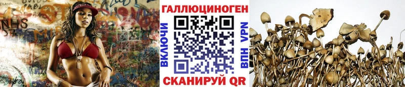 Псилоцибиновые грибы мухоморы  Купить закладки  Александровск 